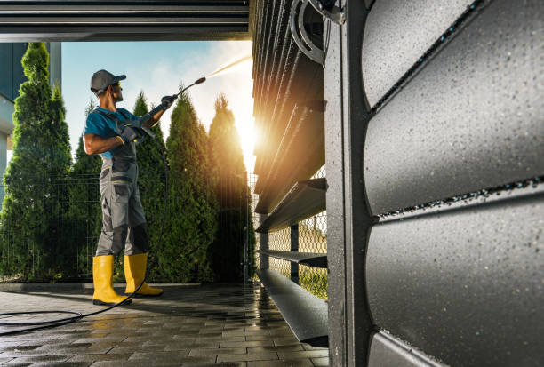 Best Driveway Pressure Washing  in Tipton, CA